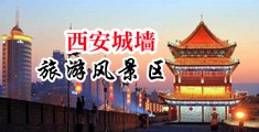 淫妇插抽中国陕西-西安城墙旅游风景区